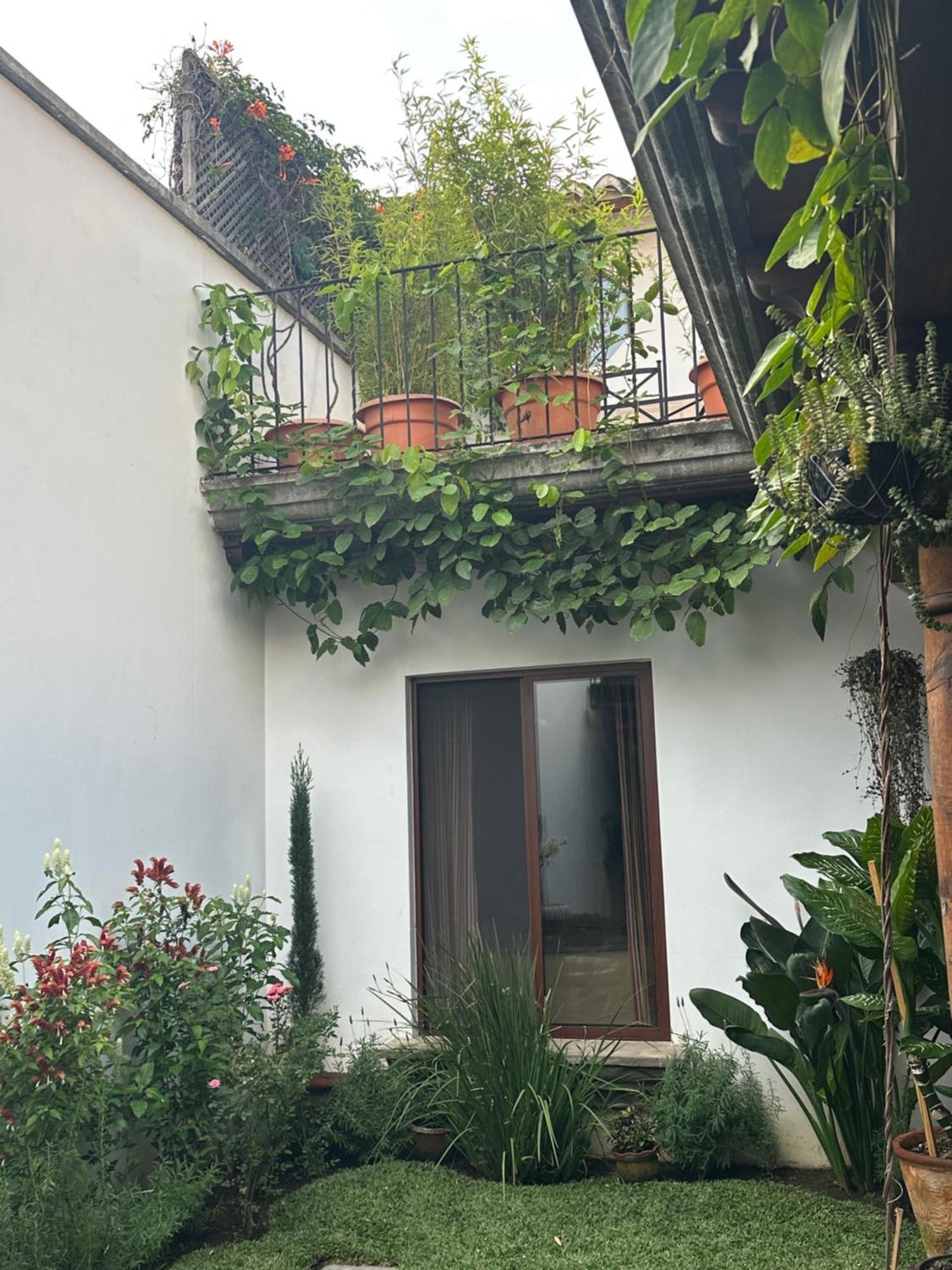 안티구아 과테말라 Casa Elena B&B 외부 사진